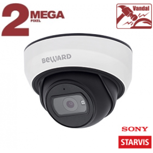SV2005DBS IP-камера