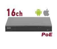 RK2216-P IP-видеорегистратор